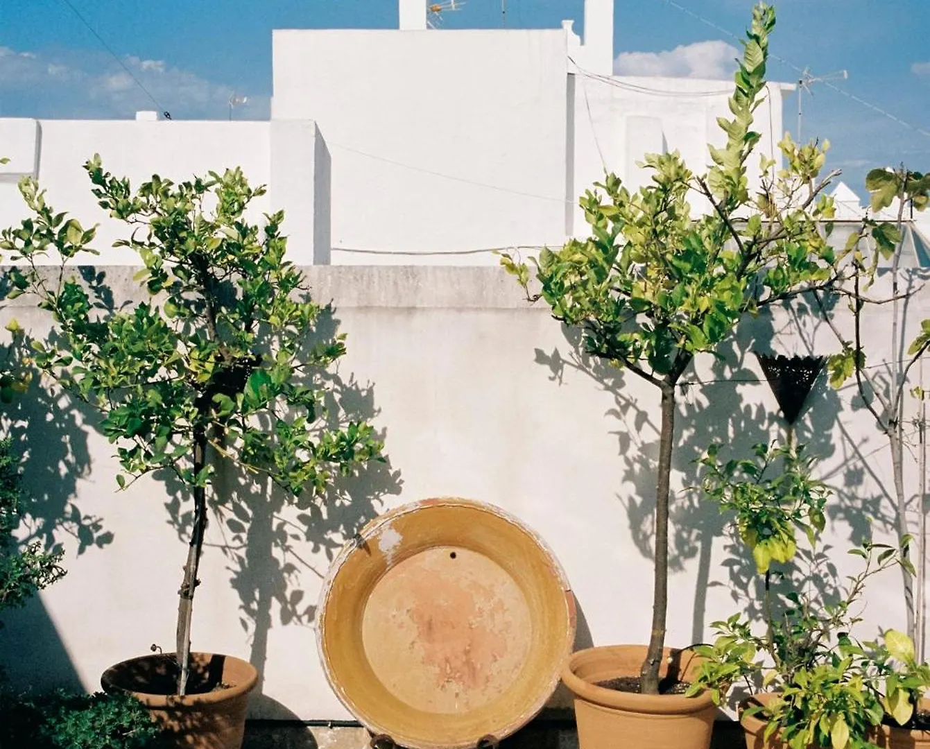 Casa Palacio Privado En Cadiz Capital - By Andalusian Glory